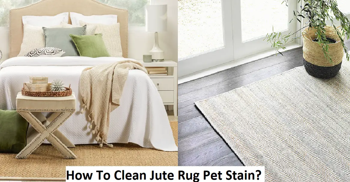 How To Clean Jute Rug Pet Stain? Professional Rug Guide